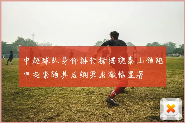 中超球队身价排行榜揭晓泰山领跑申花紧随其后铜梁龙涨幅显著